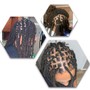 Starter Locs