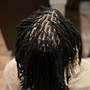 Comb Twist (starter locs)