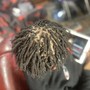 Root Touch Up