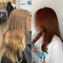 Root Touch Up