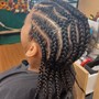 Plain Braids