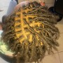 Comb Twist STARTER LOCS