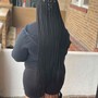 Poetic Justice Braids (hair included)