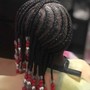 Loc Ponytail Style