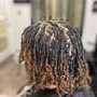 Starter Two Strand  Locs  medium