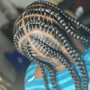 Stitch Braids 2-4 to the back.