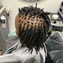 Starter Locs