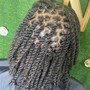 Loc Maintenance  (ear to shoulder length)