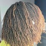 Senegalese Twist (Jumbo)