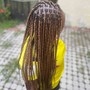 Retwist only (Ear Length) ADULT