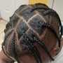 Box braid / Twist medium size without-extension. full head. Add shampoo for additional $40