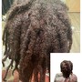 Crochet ( any type of curl or loose hair )includes wash treatment and trim