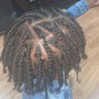 Box Braids/ Plaits