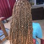 Medium Kinky Twist