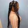 Jumbo Box Braids/Twists (Shoulder Length)