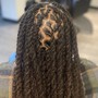 FULL HEAD twists/braids ( no hair added)