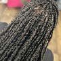 Spring Twists