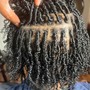 Starter Locs