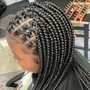 Small Box Braids