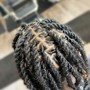 Natural Hair  Twists or Flat Twists style