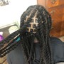 Starter Locs