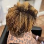 Root Touch Up