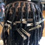 Starter Locs