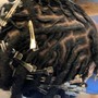 Starter Locs