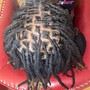 Starter Locs (Adult)