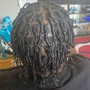 Starter Locs (Adult)