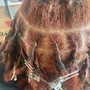 Starter Locs (Adult)