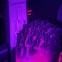 Loc Retwist