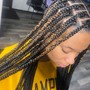 Feed in Braids