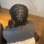 Starter Locs