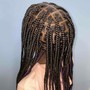 Feed-in Braids (10 Braids)