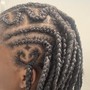 Havana Twists