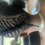 Comb Twist