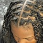 Starter Dreadlocks