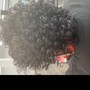 Natural Perm Rods