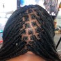 Lace Frontal Sew In