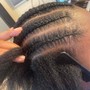 Sleek pony tail Extension Add-On