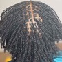 Natural Two Twists