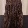 Micro Braids