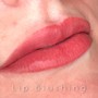 Touch up for Lip Blushing 4-8 weeks after initial appointment