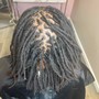 Starter Locs