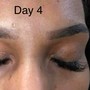 Powder Brow- Eyebrow Tattoo