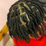 Starter Locs (w/ style)