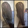 Adult Boho Braids (short)