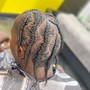 Male Plats Half head