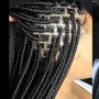 All Weave / braids /butterfly locs ( shampoo + trim)